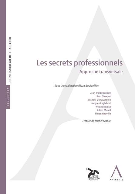 Les secrets professionnels - Approche transversale