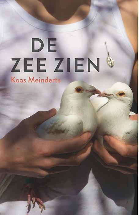 De zee zien