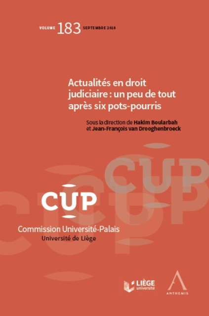 Actualités en droit judiciaire  - Un peu de tout après six pots-pourris