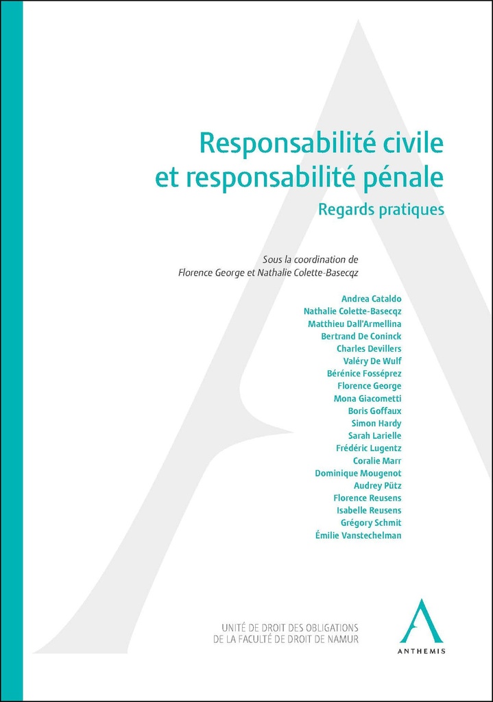 Responsabilité civile et responsabilité pénale : Regards pratiques