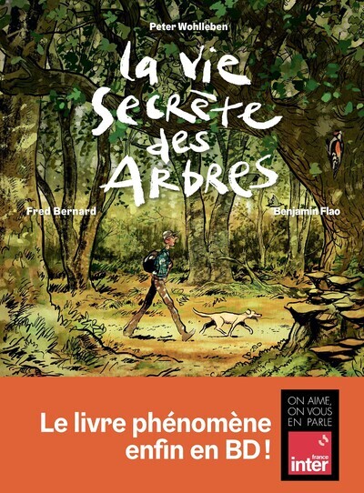 La vie secrète des arbres - Bande Dessinée