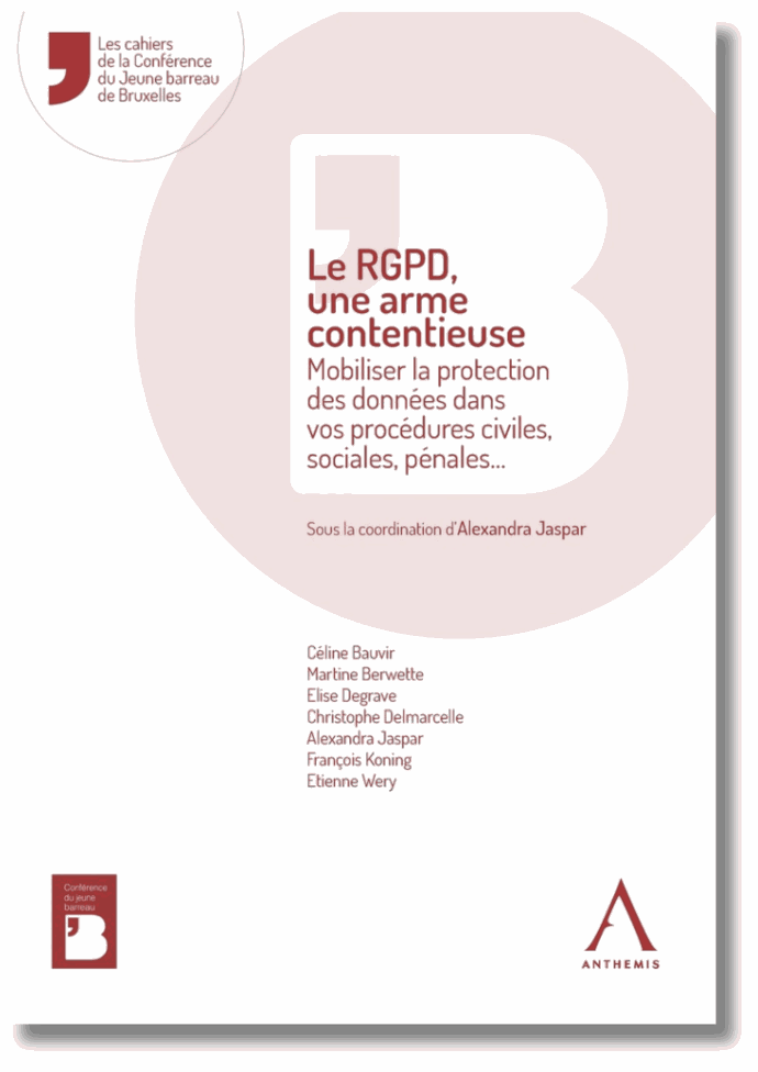 Le RGPD, une arme contentieuse -  Mobiliser la protection des données dans vos procédures civiles, sociales, pénales…