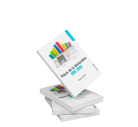 Précis de la déclaration ISoc 2025