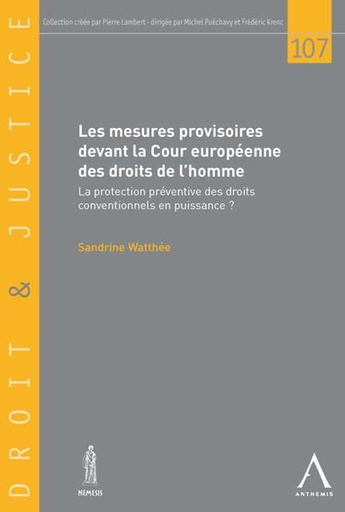 [9782874556852] Les mesures provisoires devant la Cour européenne des droits de l'homme - La protection préventive des droits conventionnels en puissance ?
