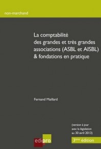 [9782874962424] La comptabilité des grandes et très grandes associations (ASBL et AISBL) & fondations en pratique