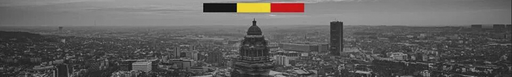 [9782804477738] Les régimes constitutionnels de l'Union européenne - Italie, Allemagne, Portugal, Espagne