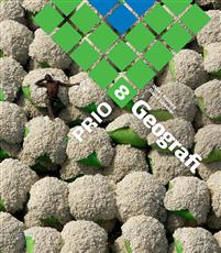 [9789152305744] PRIO Geografi 8