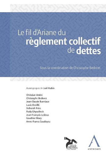 [9782874559020] Le fil d'Ariane du règlement collectif de dettes