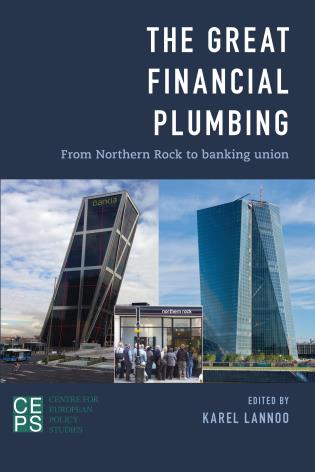 [9781783484287] The Great Financial Plumbing - From Northern Rock to Banking Union