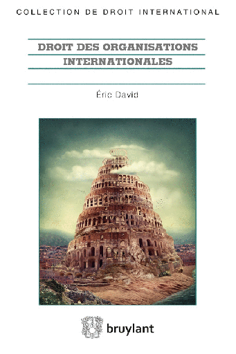 [9782802749028] Droit des organisations internationales