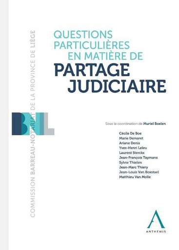 [9782807201019] Questions particulières en matière de partage judiciaire