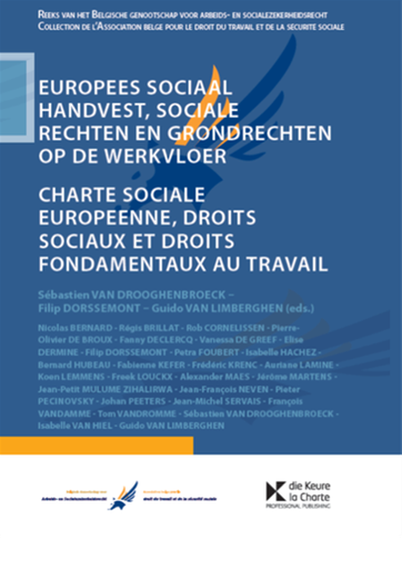 [9789048628544] Charte Sociale européenne, droits sociaux et droits fondamentaux au travail - Europees Sociaal Handvest, sociale rechten en grondrechten op de werkvloer