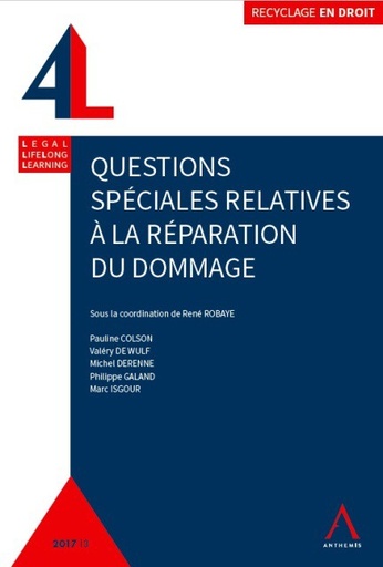 [9782807203198] Questions spéciales relatives à la réparation du dommage