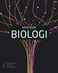 [9789147085941] Spektrum Biologi Grundbok