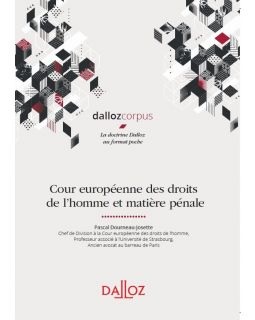 [9782247204052] Cour européenne des droits de l'Homme et matière pénale