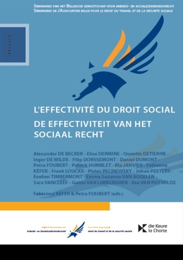 [9789048641628] De effectiviteit van het sociaal recht / L’effectivité du droit social