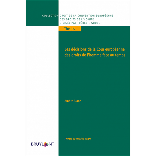 [9782802770879] Les décisions de la Cour européenne des droits de l'homme face au temps
