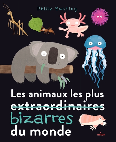 [9782408033729] Les animaux les plus bizarres du monde