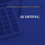 [9789048644674] Auditing