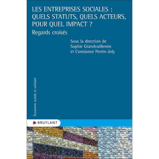[9782802773078] Les entreprises sociales - Quels statuts, quels acteurs, pour quel impact ?