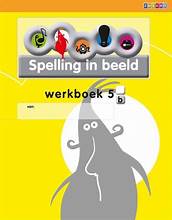 [9789048714193] Spelling in beeld Werkboek 5B