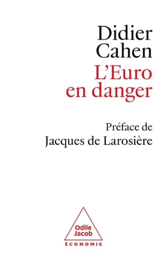 [9782415012809] L'Euro en danger