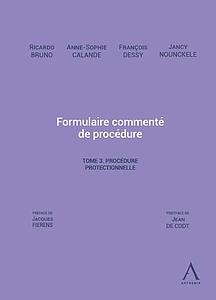 Formulaire commenté de procédure - Tome 3 - Procédure protectionnelle